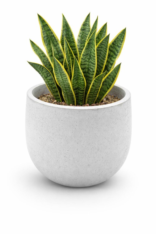 PHOTO-2026-01-19-20-36-58 (1).jpg