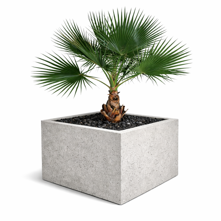 ChatGPT Image 19 lut 2026, 18_25_21.png