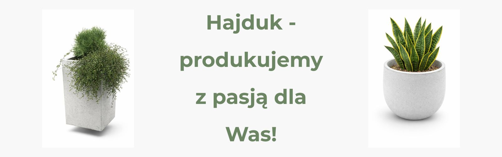 Hajduk - produkujemy z pasją dla Was